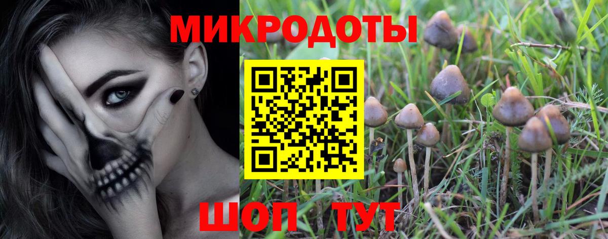 Галлюциногенные грибы Cubensis Жуковский