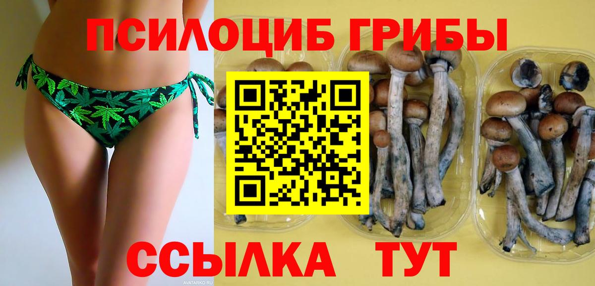 Псилоцибиновые грибы ЛСД  Псилоцибиновые грибы мухоморы  Жуковский  Вход с VPN 